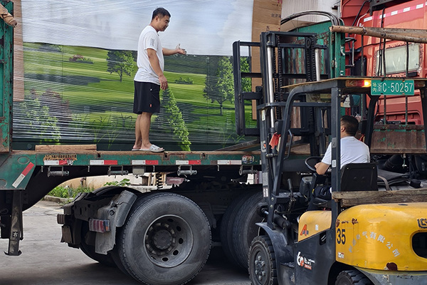 Dự án GRID STATE HENAN 2025 đã hoàn thành